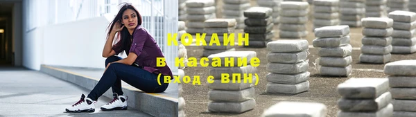 шишки Армянск