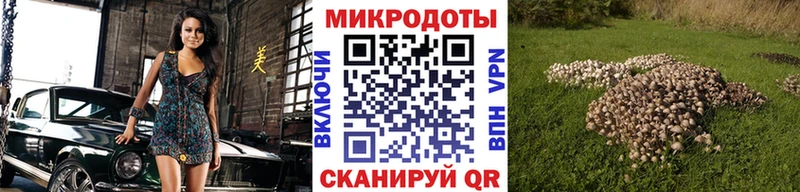 Галлюциногенные грибы прущие грибы  Дюртюли 
